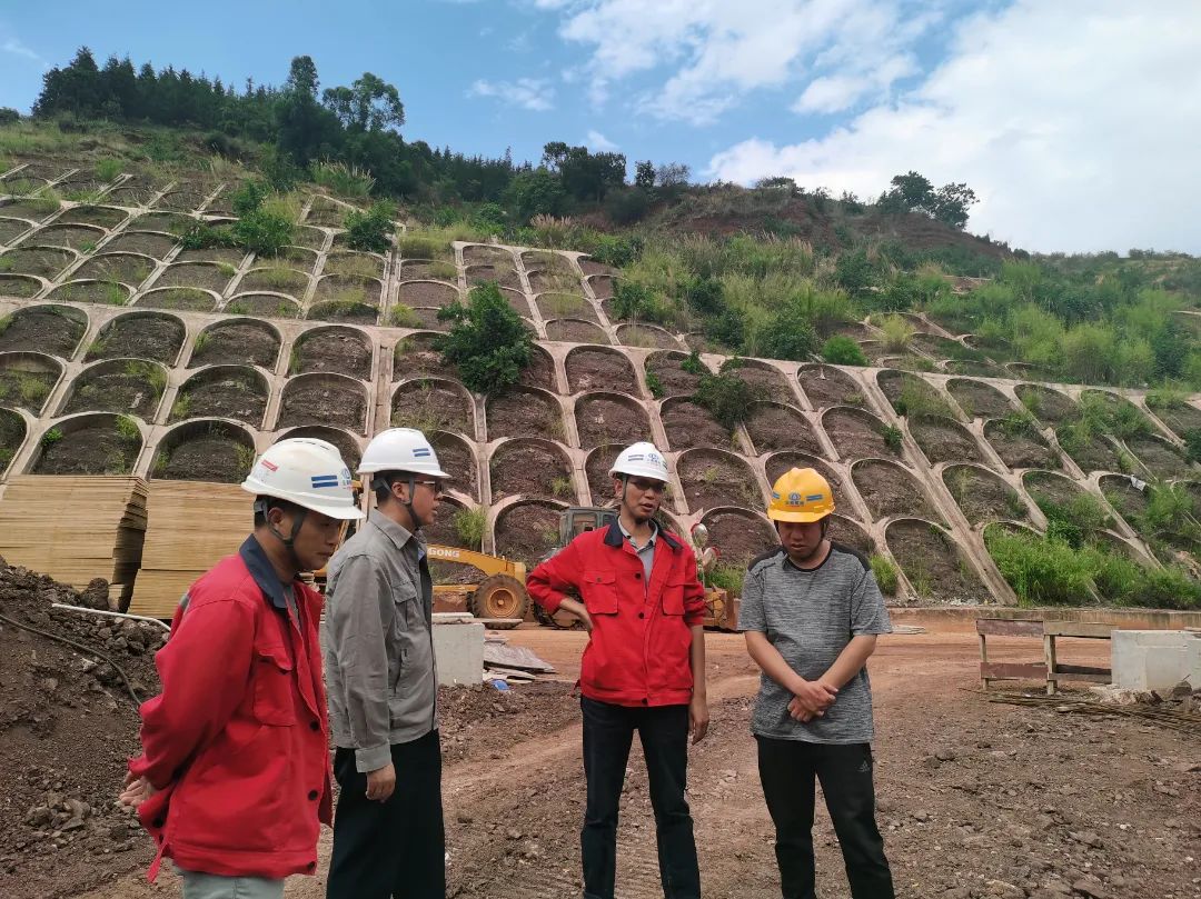 7db25908b9f7f40bc1b933fe90644e3.jpg 图片